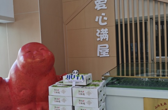 1877彩票爱心月捐赠活动